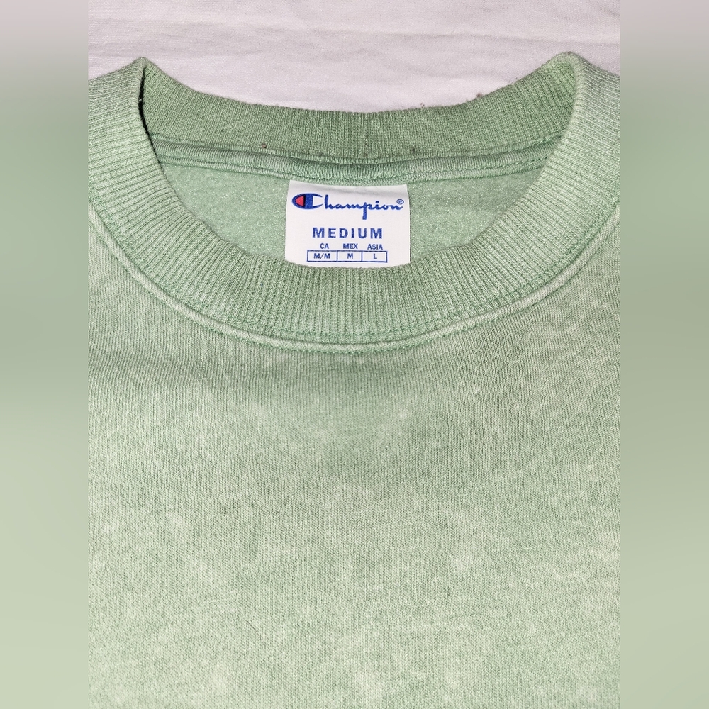 Champion Men's Sage Crewneck Sweater - Picture 2 of 3